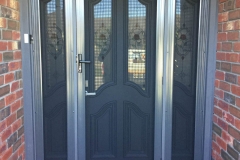 Stainless steel door with Panels